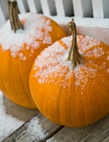Even our pumpkins were chilly!