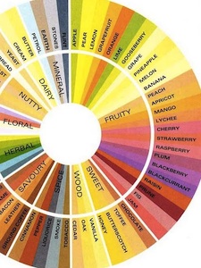 A flavor wheel can be handy for describing teas.