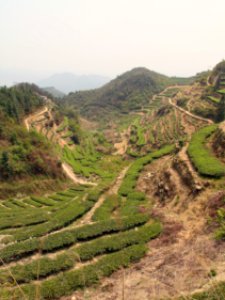 Breathtaking views of Anxi