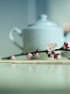 What best describes your tea service? 