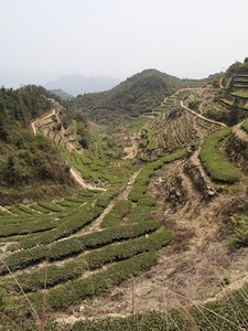 Anxi hills, hoping for rain.