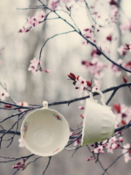 It's blooming teacups!