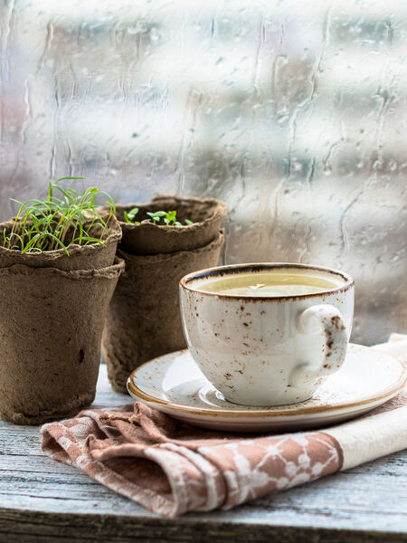 Tea comforts on a rainy spring day.
