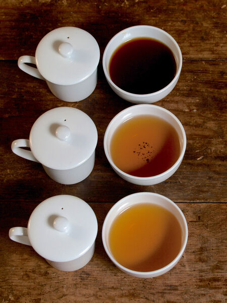 Professional Tea Judging Set