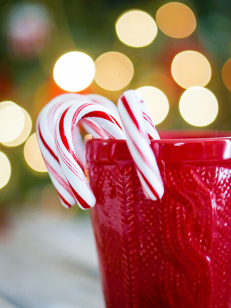 Enchant your seasonal guests with Candy Cane tea!