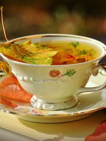 Fall Teas :)